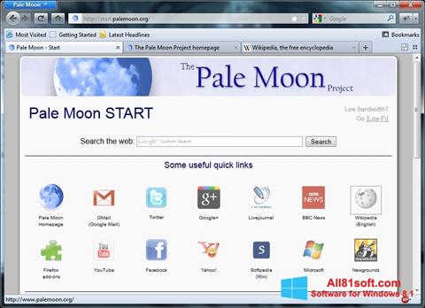 Screenshot Pale Moon untuk Windows 8.1