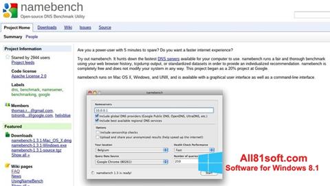 Screenshot NameBench untuk Windows 8.1