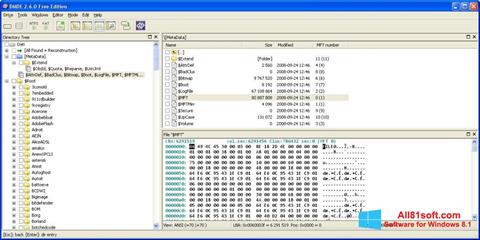 Screenshot DMDE untuk Windows 8.1