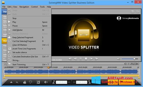 Screenshot SolveigMM Video Splitter untuk Windows 8.1
