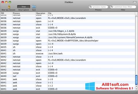 Screenshot FileMon untuk Windows 8.1