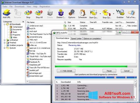 Screenshot Internet Download Manager untuk Windows 8.1