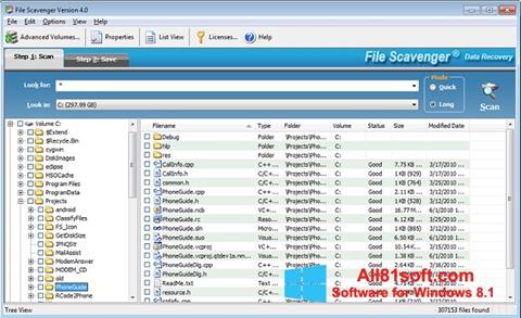 Screenshot File Scavenger untuk Windows 8.1