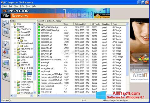 Screenshot PC Inspector File Recovery untuk Windows 8.1
