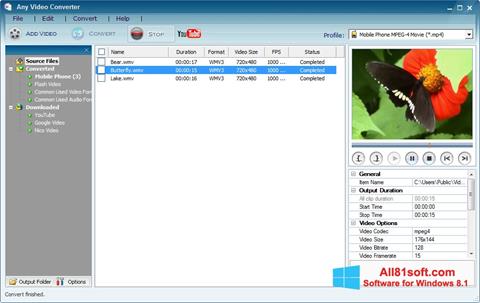 Screenshot Any Video Converter untuk Windows 8.1