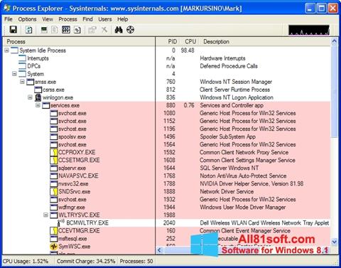 Screenshot Process Explorer untuk Windows 8.1