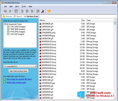 Screenshot Pandora Recovery untuk Windows 8.1