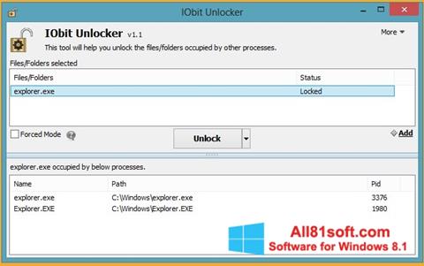 Screenshot IObit Unlocker untuk Windows 8.1
