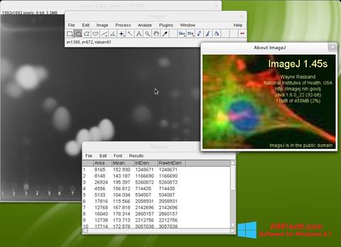 Screenshot ImageJ untuk Windows 8.1