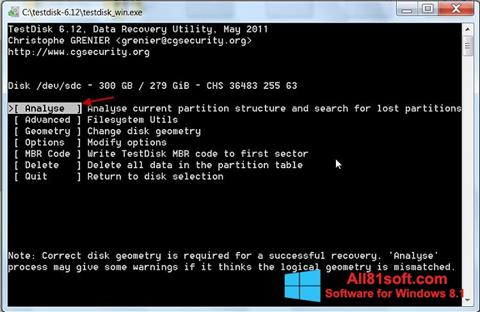Screenshot TestDisk untuk Windows 8.1