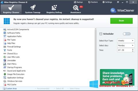 Screenshot Wise Registry Cleaner untuk Windows 8.1