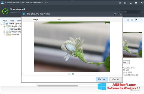 Screenshot USB Flash Drive Recovery untuk Windows 8.1